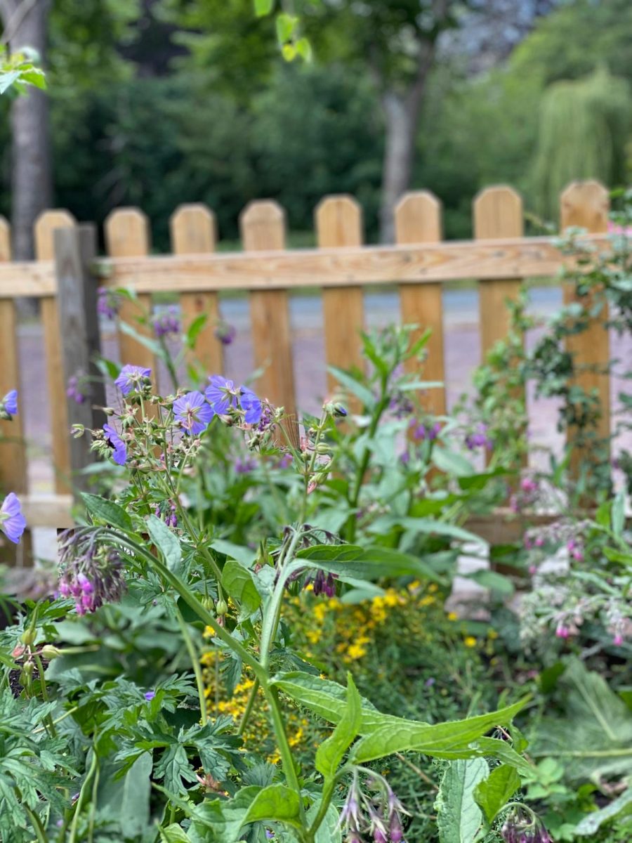 duurzame tuin