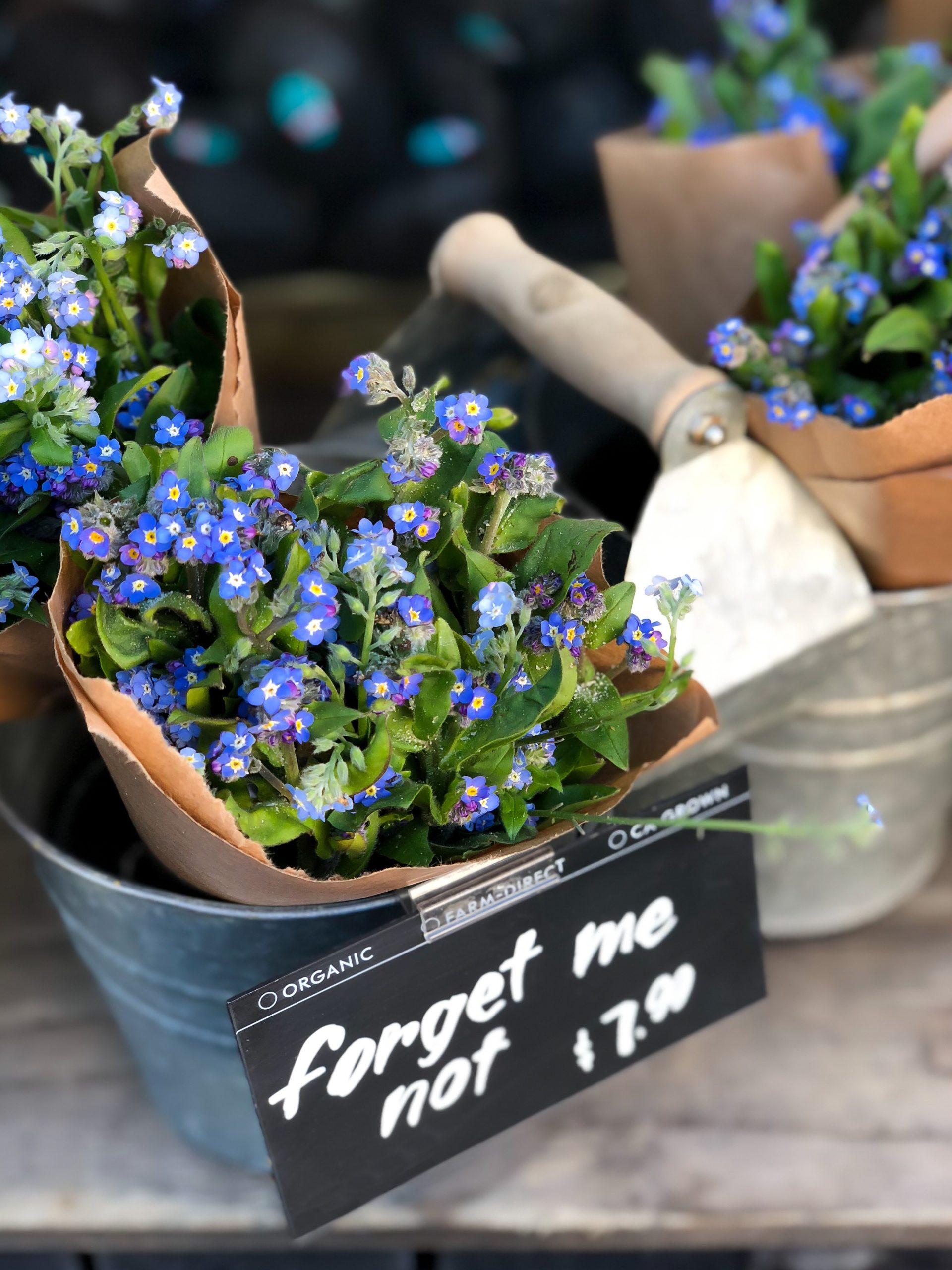 Adressen stekjes- en plantenmarkt