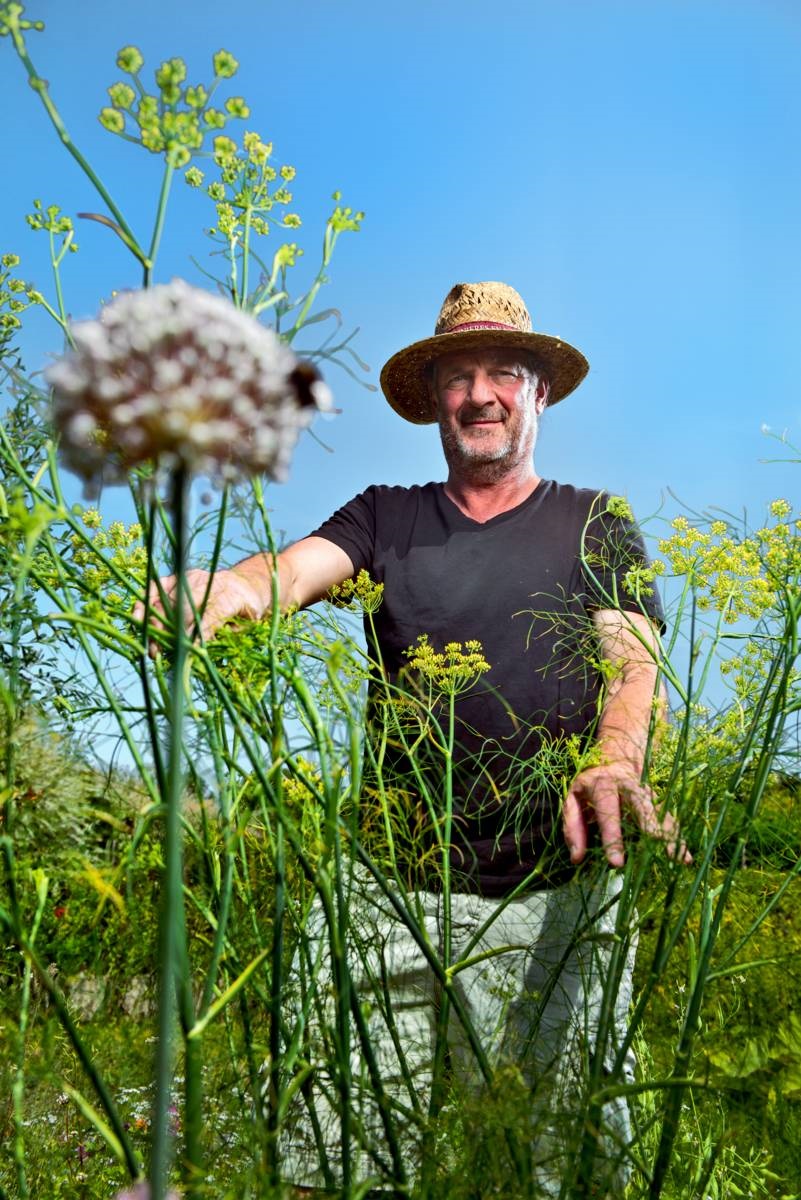 man in tuin - bermboeket - uienbollen