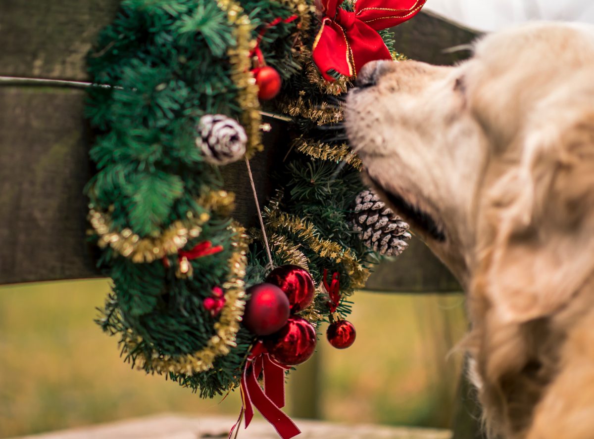 kerstdecoratie