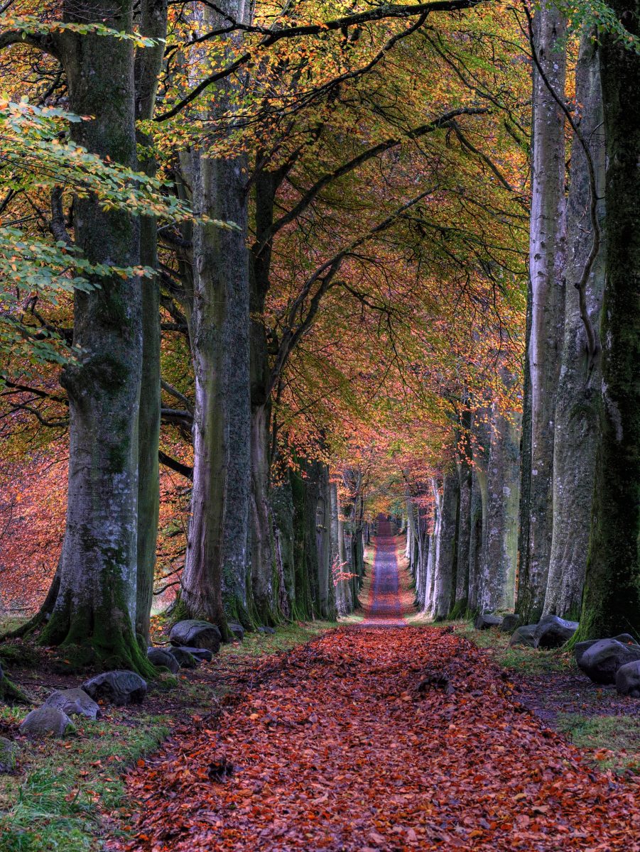 herfstfoto's