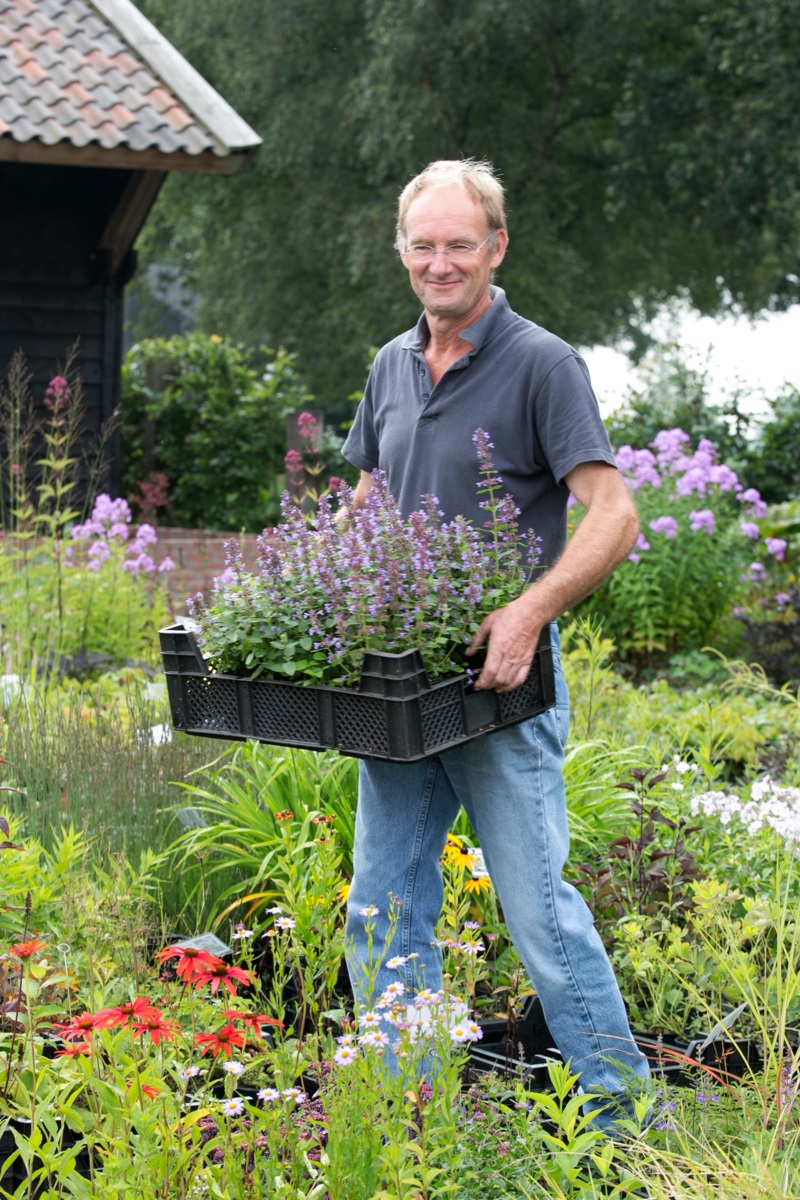 sterke planten - kwekerij Klein Hof - ecologisch