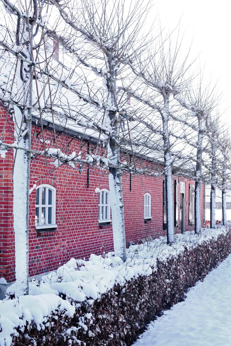 leilindes - wintertuin - sneeuw - De Hazelhof