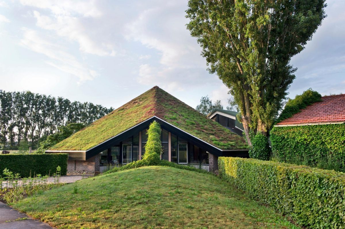 Natuurlijke landschapstuin