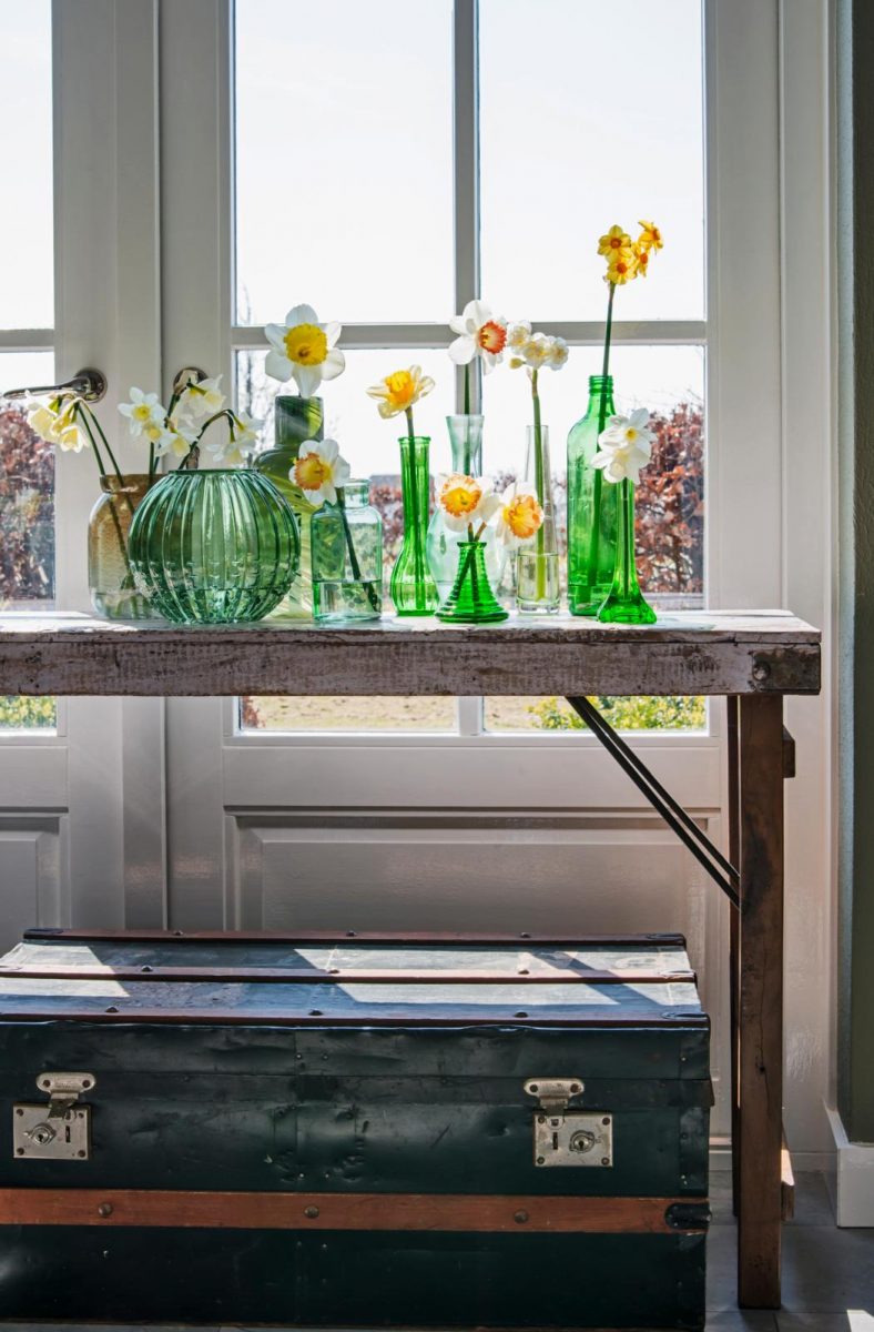 Decoratie-ideeën narcis