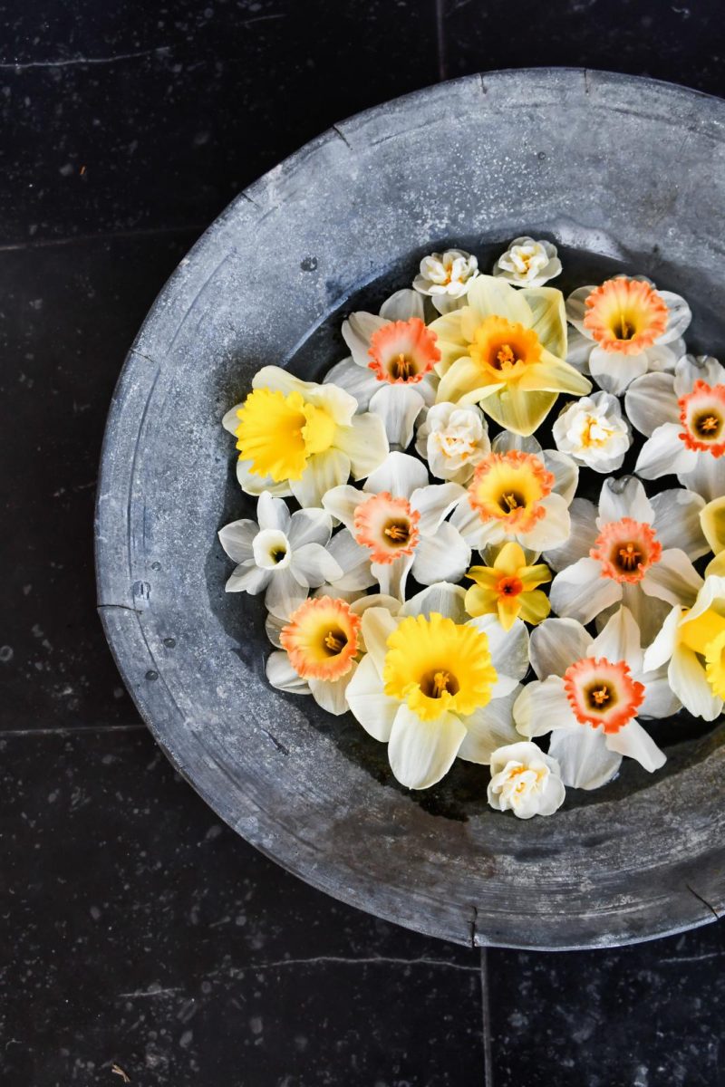 Decoratie-ideeën narcis