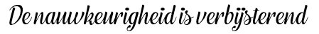 nauwkeurigheid