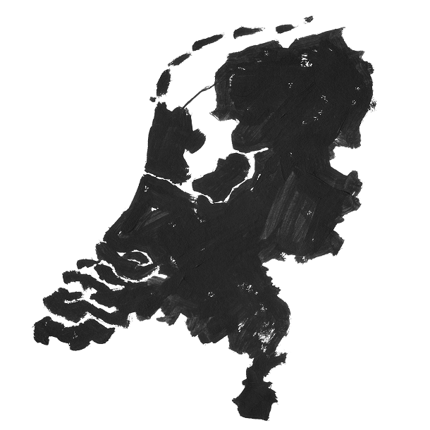 nederland kaartje