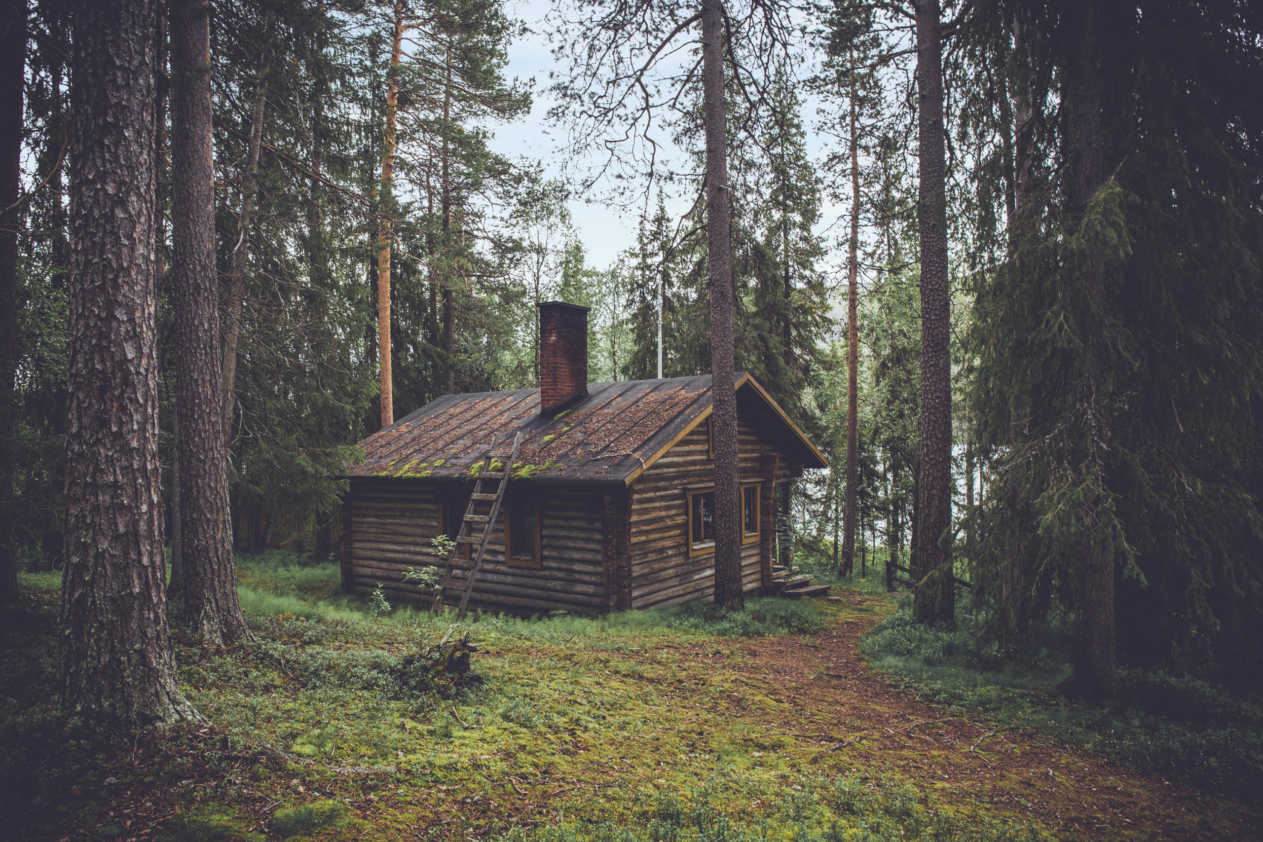 Ingenieur Dick Strawbridge en ambachtsman Will Hardie bezoeken in Cabins in the Wild acht natuurhutten die gebouwd zijn voor een pop-uphotel in Wales.