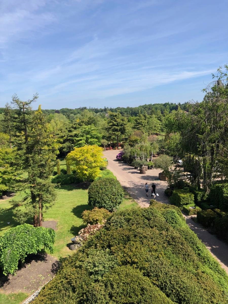 Kwekerij de Limieten - bomen - boom planten