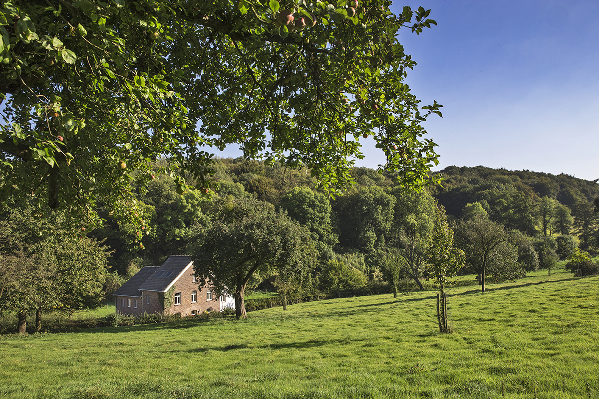 staatsbosheer Pake Hiem | Gerendal | Zuid Limburg