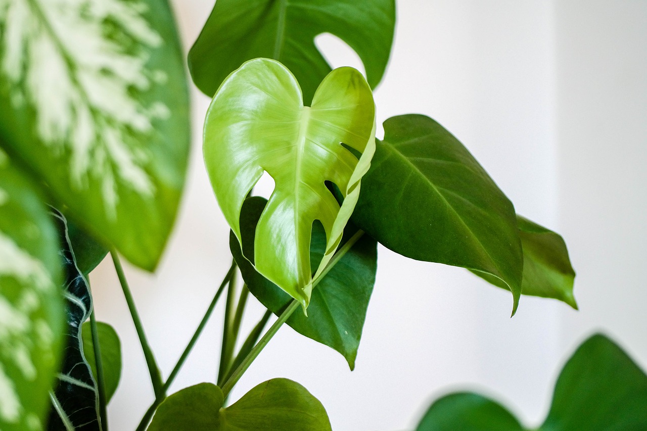 slimme plantenpot