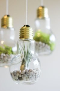 gloeilamp