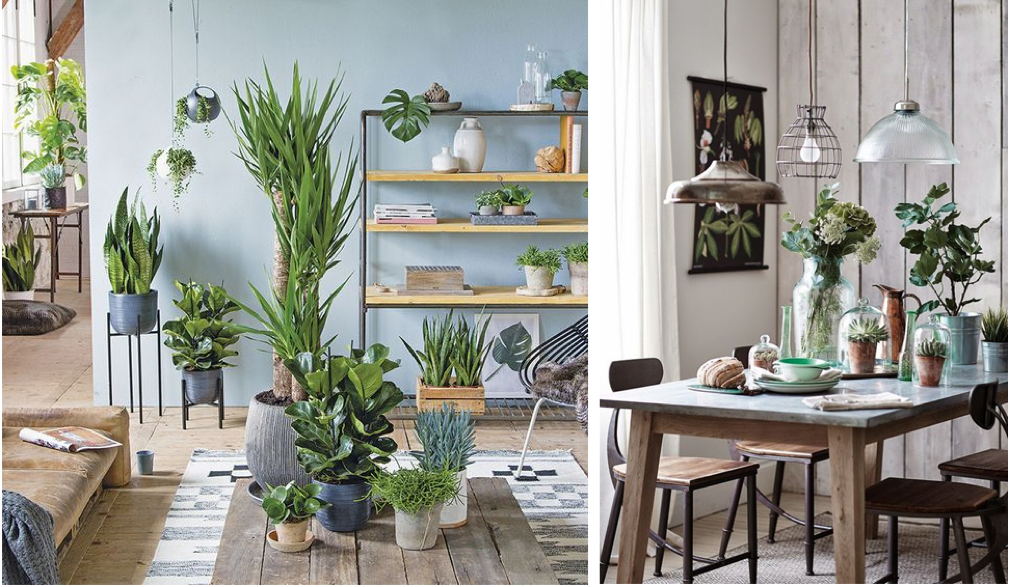 plantentafel