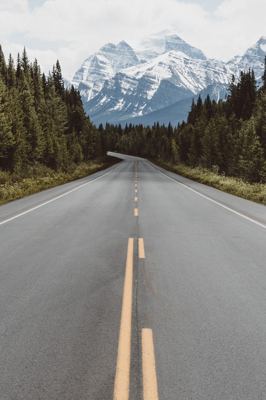 The Great Trail