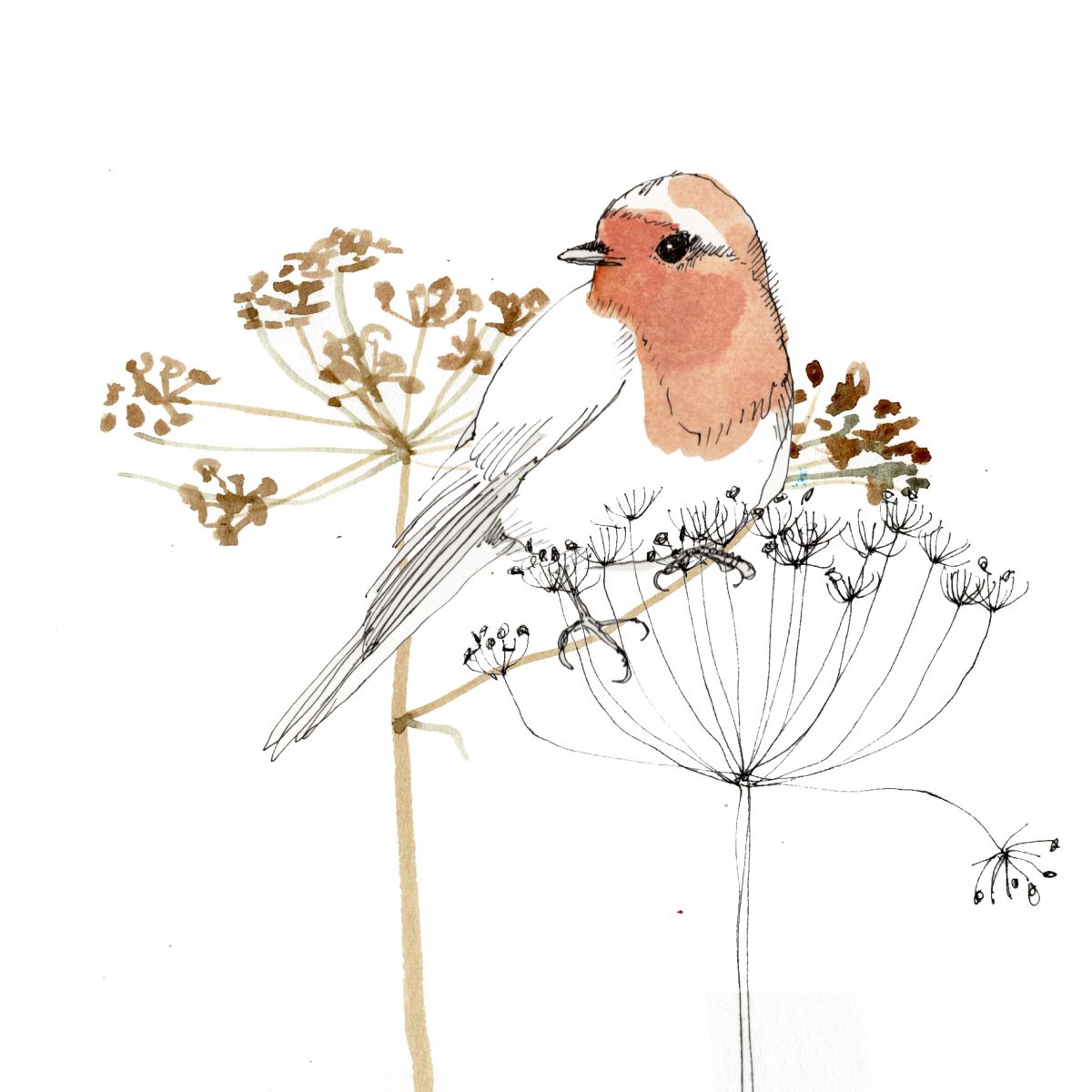 roodborst