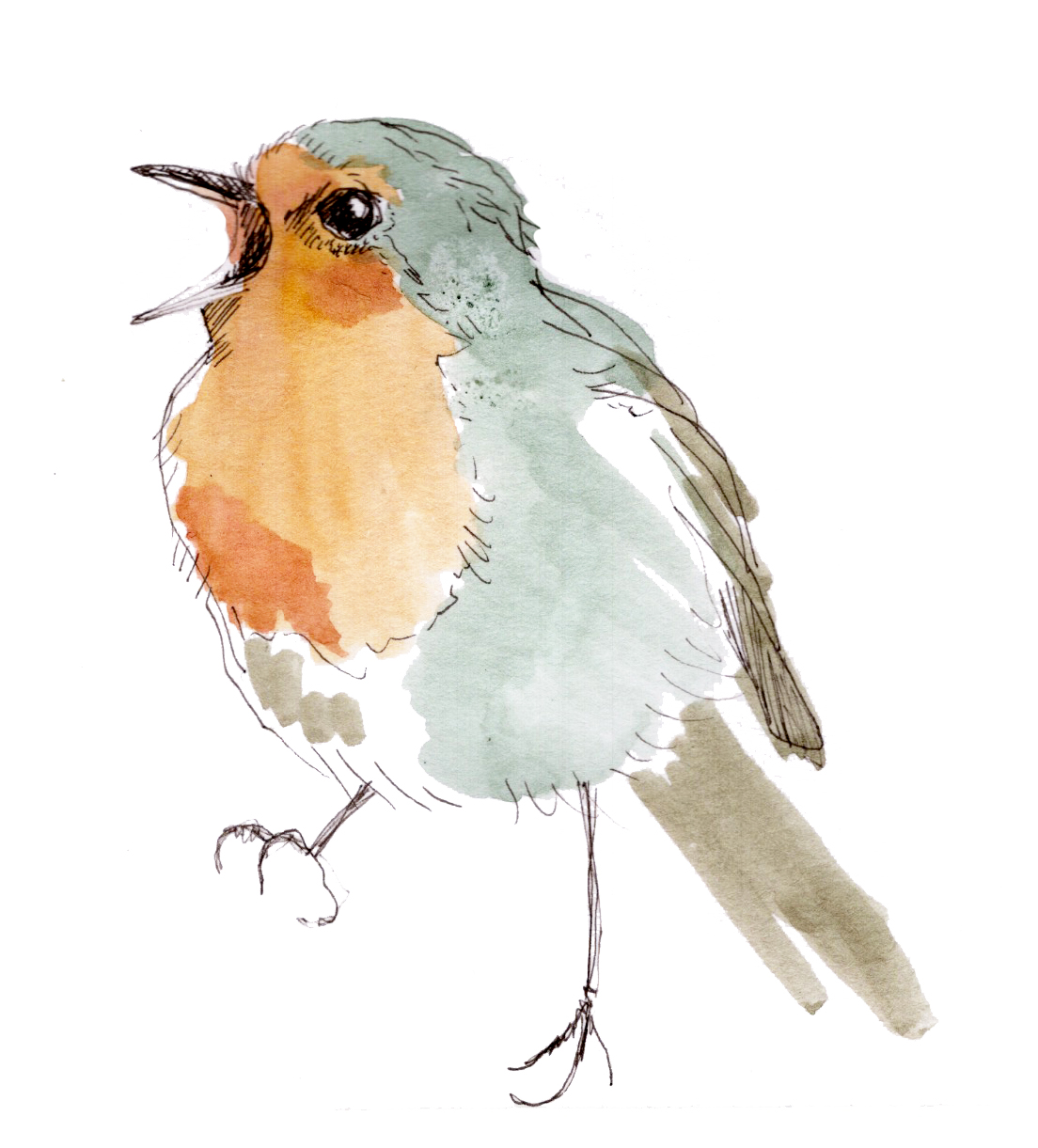 roodborst