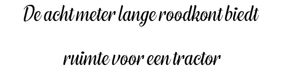 boerenkooloogst Broek op Langedijk