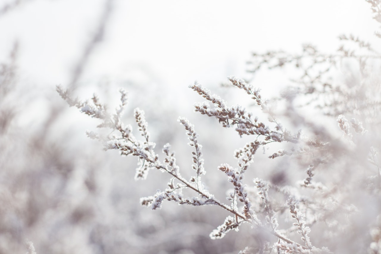 wintersnoei