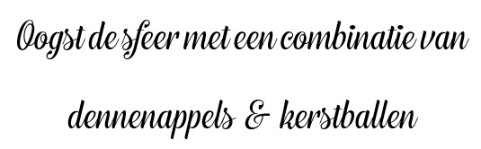 boerenkooloogst Broek op Langedijk
