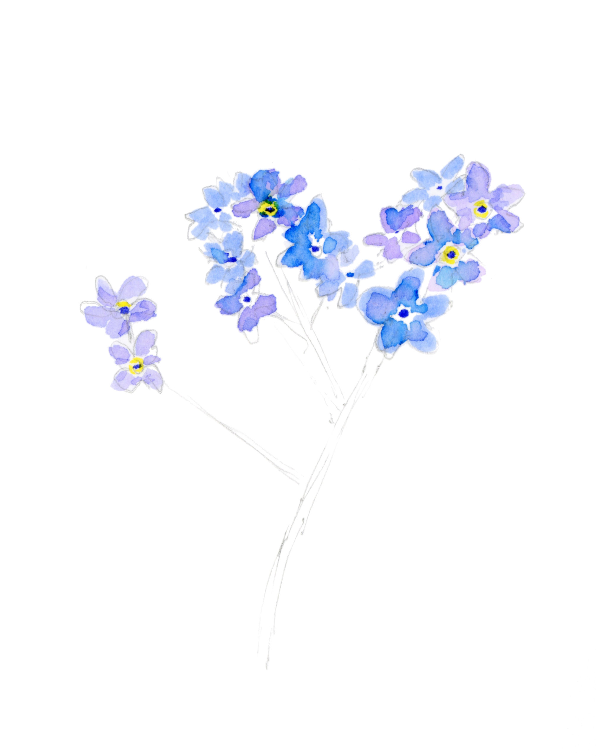 aquarel