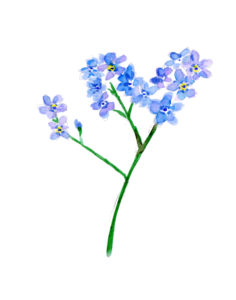 aquarel