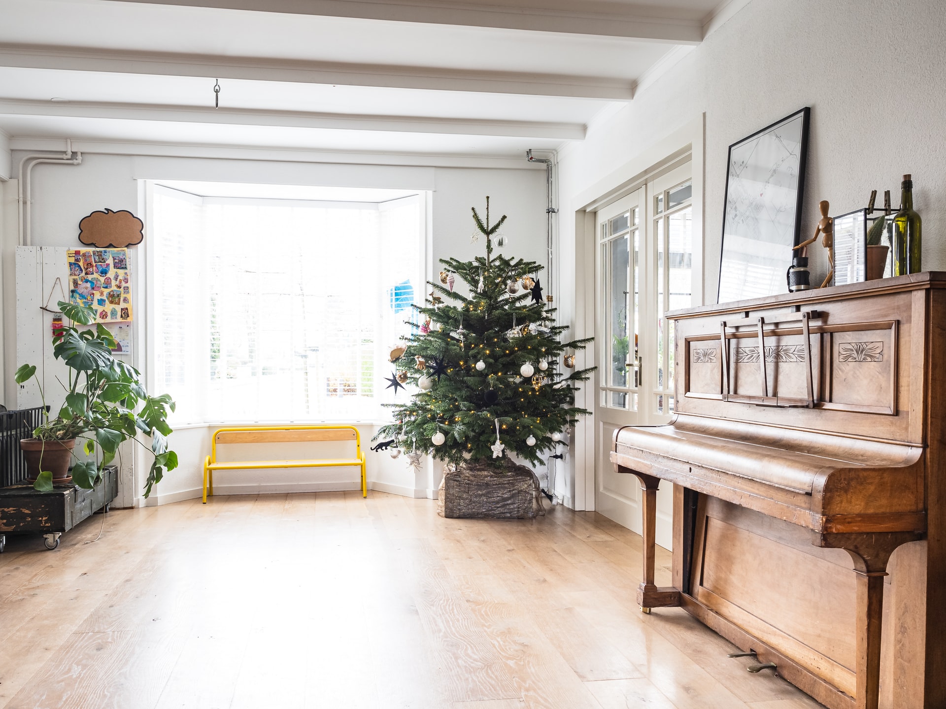 kerstbomen