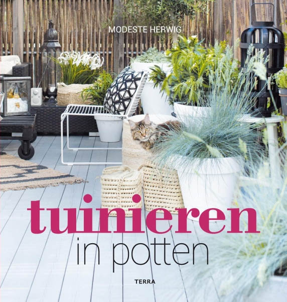 tuinieren in potten