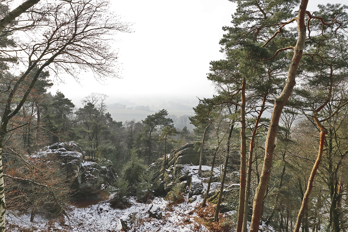 teutoburgerwald