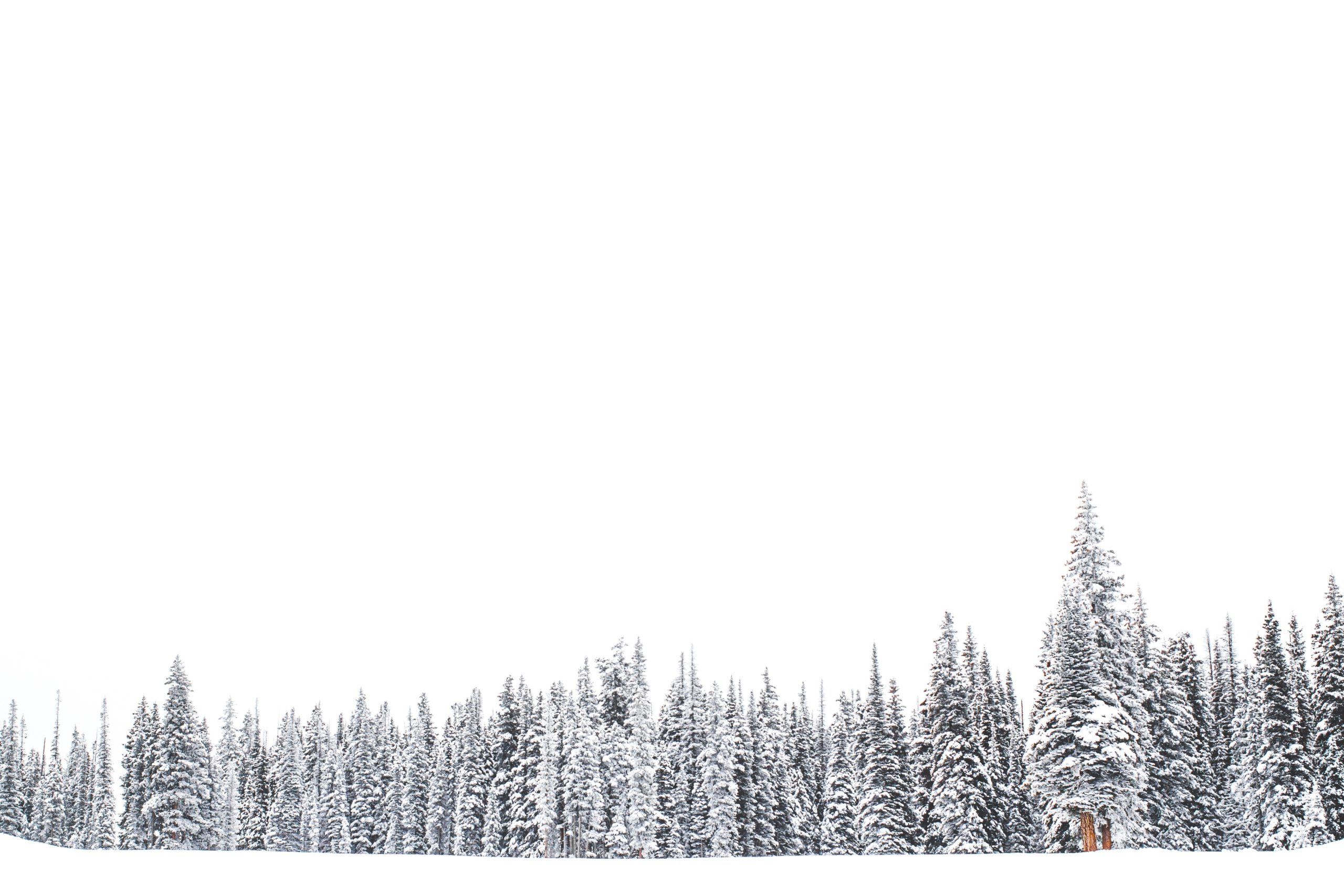 winterwandelingen