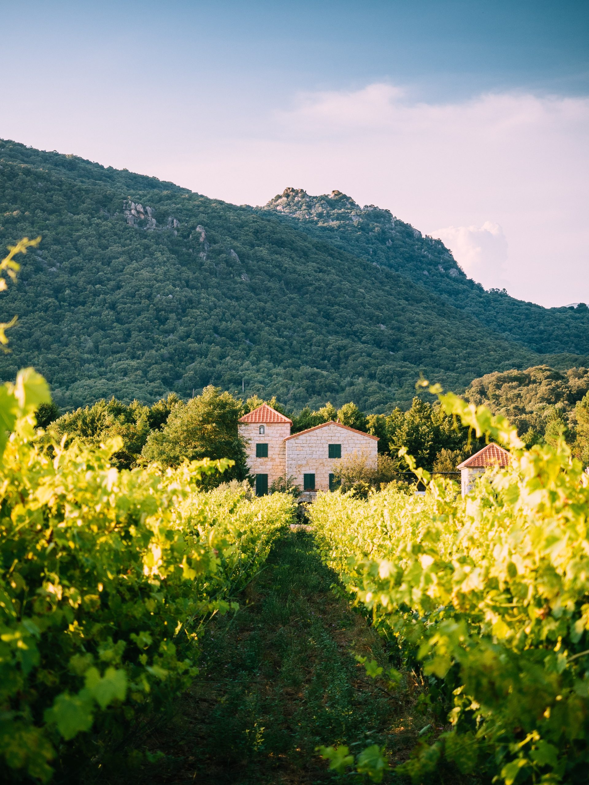 Wandelen op Corsica