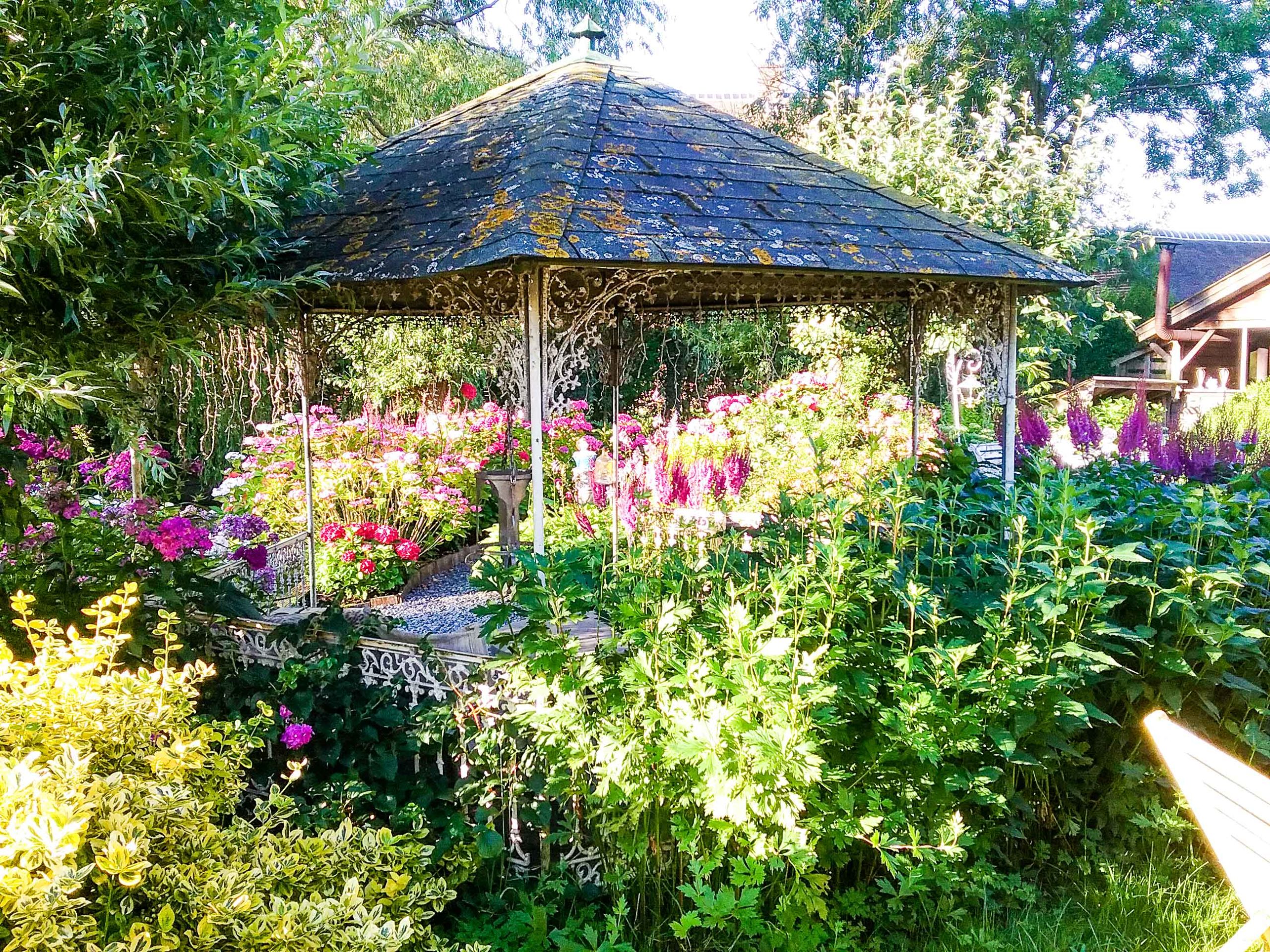 tuin van de week 2-4