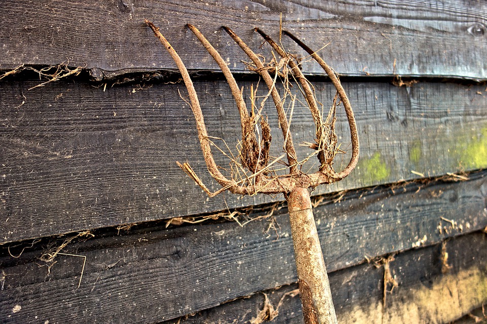 tuintips