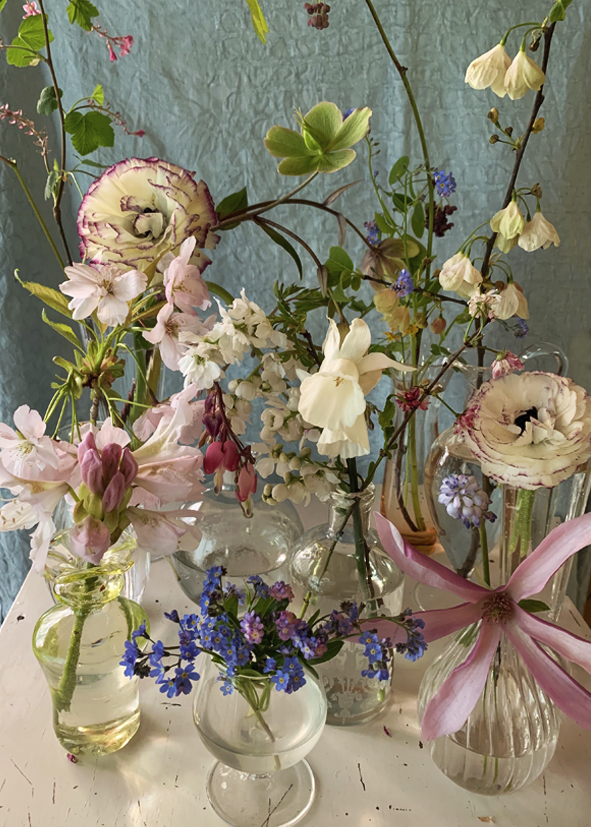 droogbloemen