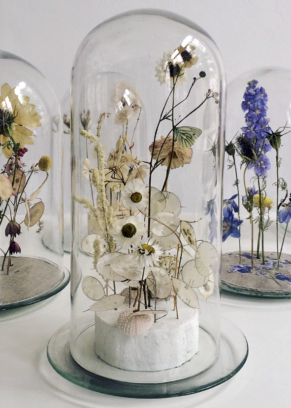 droogbloemen