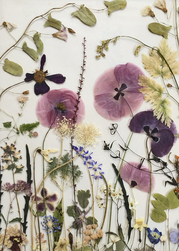 droogbloemen
