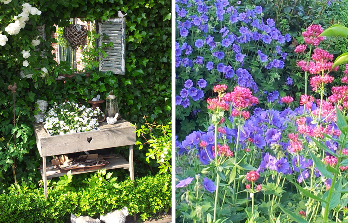 tuinwitte2