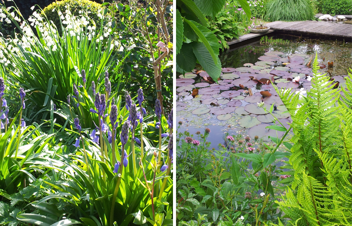tuinwitte4