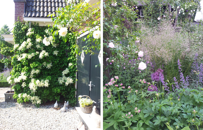 tuinwitte5