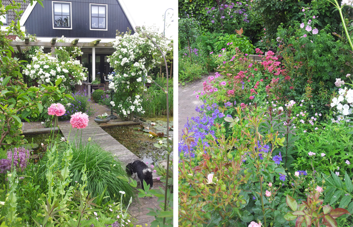 tuinwitte6