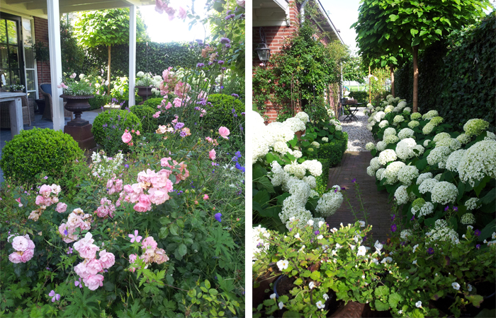 tuinwitte8