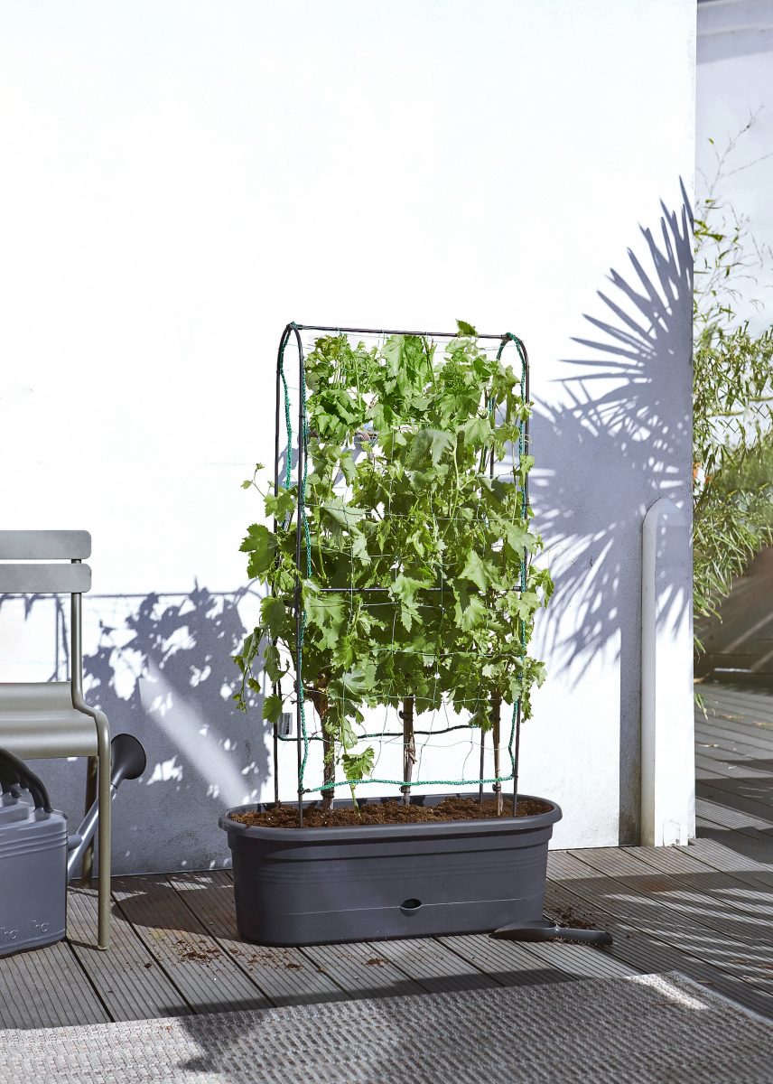 veggie wall verticaal