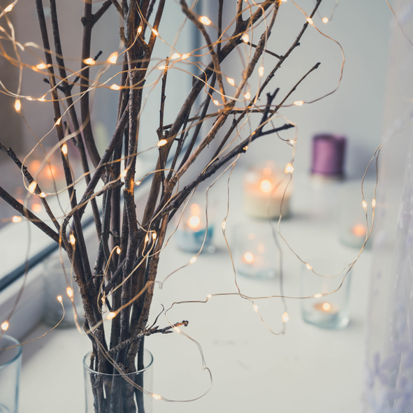Versierde takken - winter - kerstmis