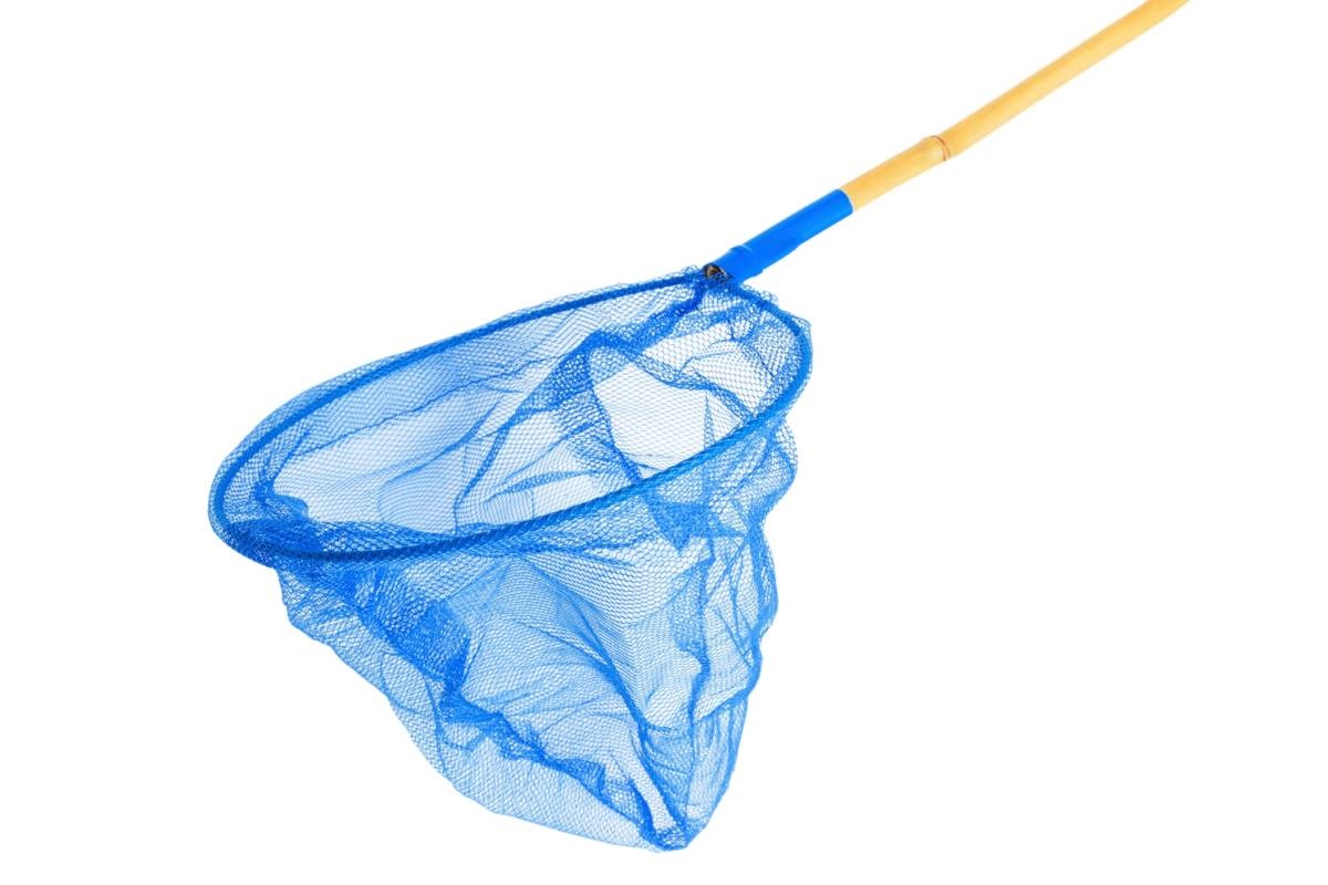 schepnet - blauw - algen - vijver