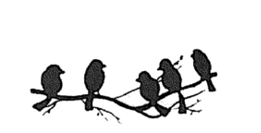 vogels