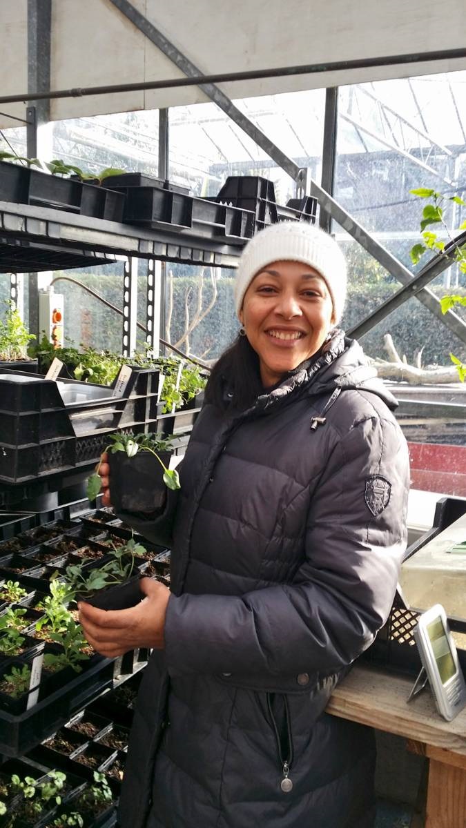 vrouw met stekje in hand - tuinadressen