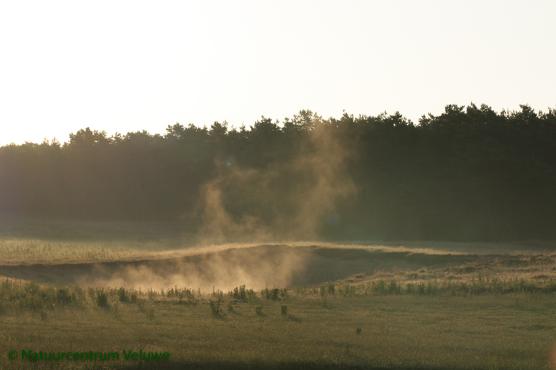 wandelen