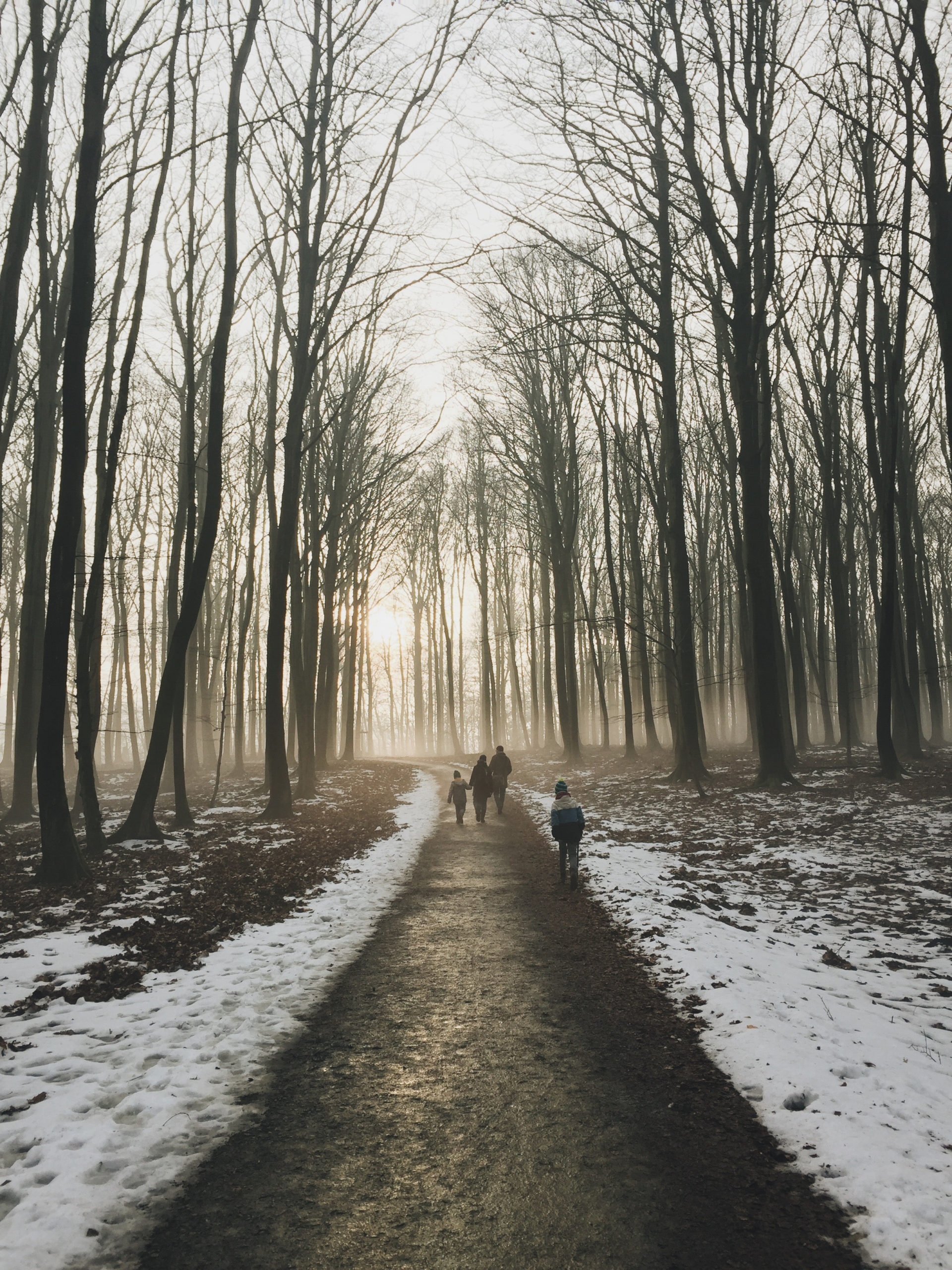 Na de feestdagen is het fijn om een frisse neus te halen. Hoe? Wij gaan eerst een flink eind wandelen, en halen daarna een biologisch broodje in het bos.