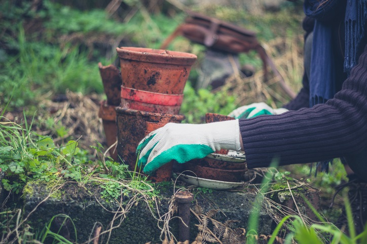 water-geven-plantenpotten-en-waterschotels-iStock
