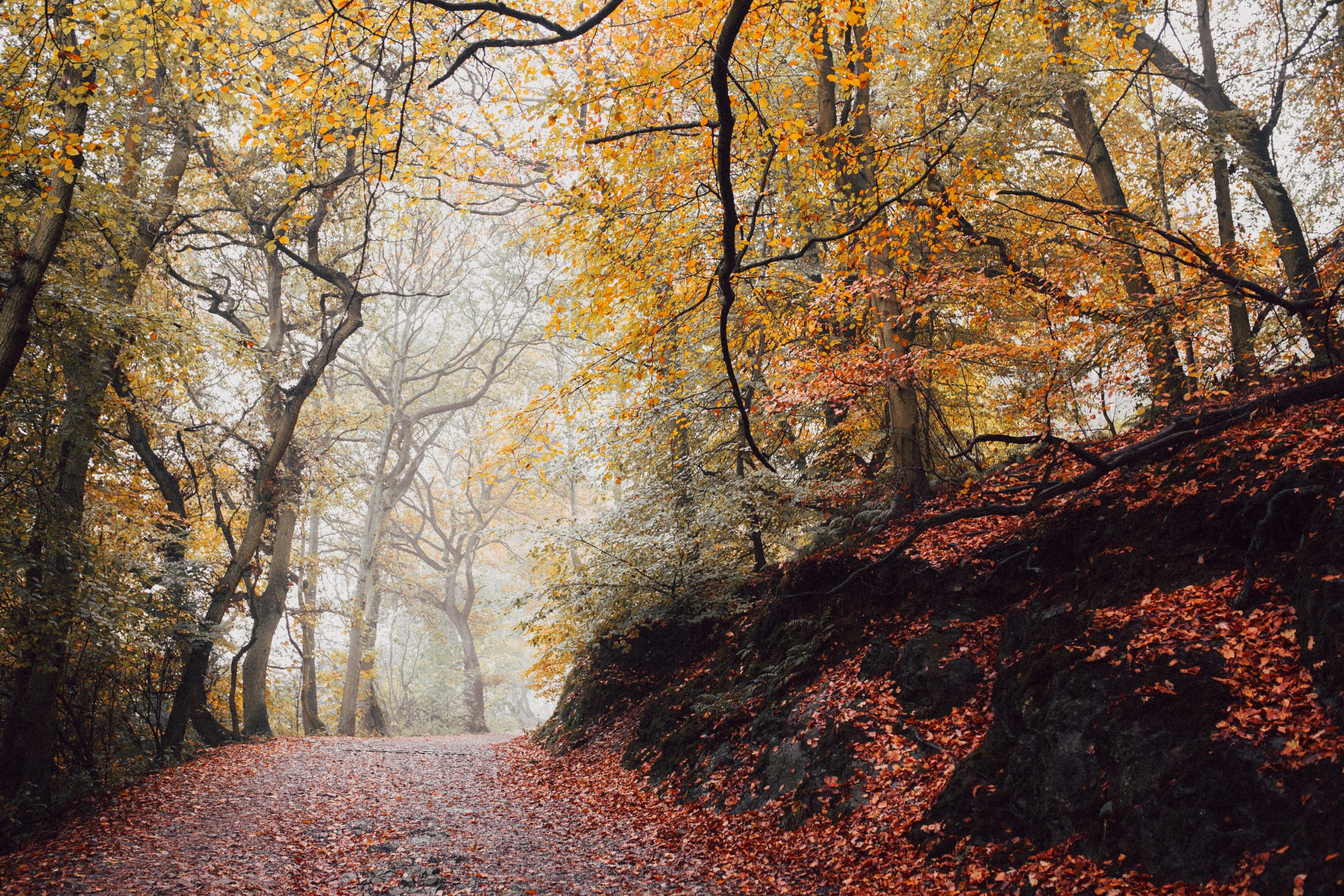 herfst